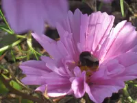 002.webp