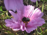 003.webp