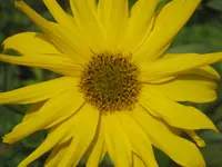024.webp