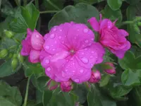 025.webp