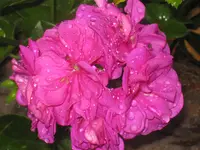 026.webp