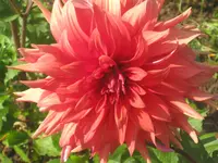 025.webp