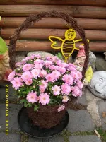 JD500042.webp