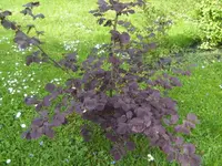BILD6383.webp