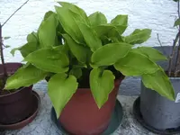 BILD6380.webp