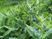 BILD6387.webp