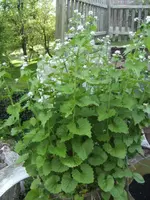 BILD6420.webp