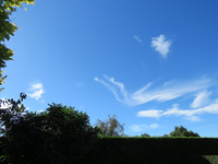 IMG_6709v (2).webp