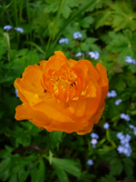 P1130651.webp
