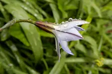 DSCN9812.webp