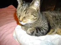 IMGP3765.webp