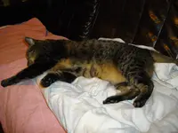 IMGP3763.webp