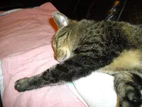 IMGP3764.webp
