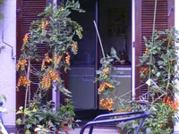 BILD0509.webp