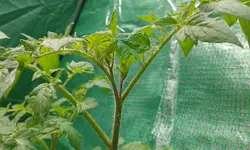 20170511_113859.webp