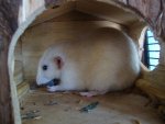 DSC07720.jpg