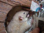 DSC07727.jpg