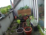 DSC07740.jpg