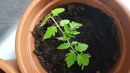 20170511_174011.webp