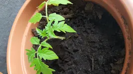 20170511_173959.webp