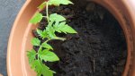 20170511_173959.jpg