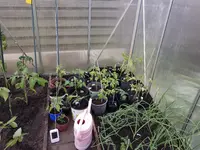 20170511_182338.webp