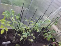 20170511_182329.webp