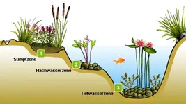 teichzonen.webp