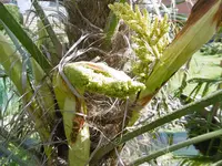 P1000810.webp