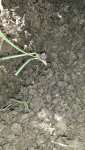 20170511_111714_resized.jpg