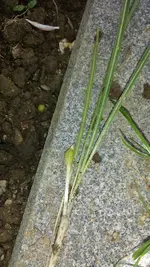 20170511_111718_resized.webp