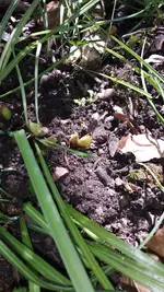 20170511_111727_resized.webp