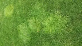 20170512_111322.webp