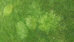 20170512_111322.jpg