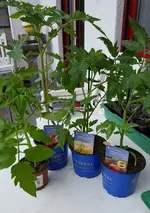 20170512_133339.jpg