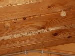 20170512_172417.jpg