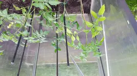20170512_172722.jpg