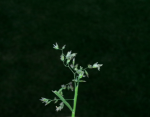 05.12.2006.png