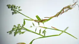 20170512_191120.jpg