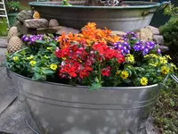 001.webp