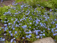 005.webp