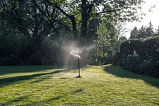 Schockgefrostet-WEB.webp