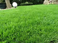DSC09690.webp