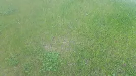 20170513_122813.jpg