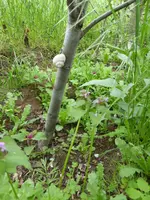 P1010640.webp