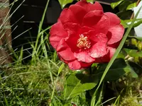20170513_153121.webp