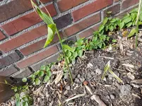 20170513_153318.jpg