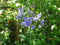 IMG_7820.webp