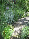 IMG_7824.JPG