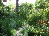 IMG_7829.JPG